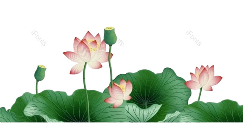 叶子图片,端午元素,节日PNG,夏至免抠素材